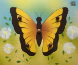 Schmetterling auf der Wiese