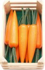 Karotte 7 Stk.
